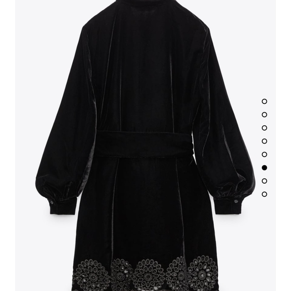 Zara dress Velvet - Picture 4 of 7